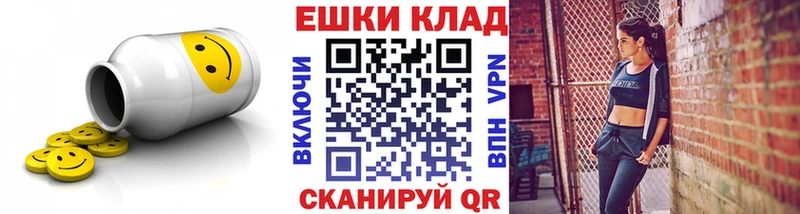 Купить закладки  Каменка  Экстази Punisher 