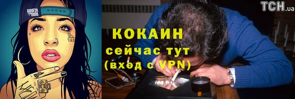 mdpv Инта