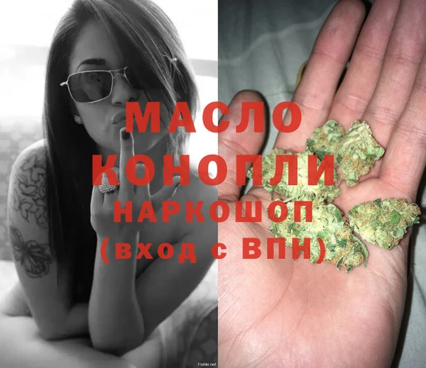 mdpv Инта