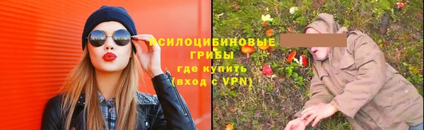 меф Инсар