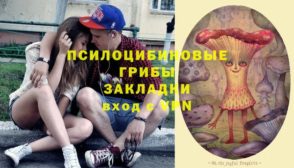 меф Инсар