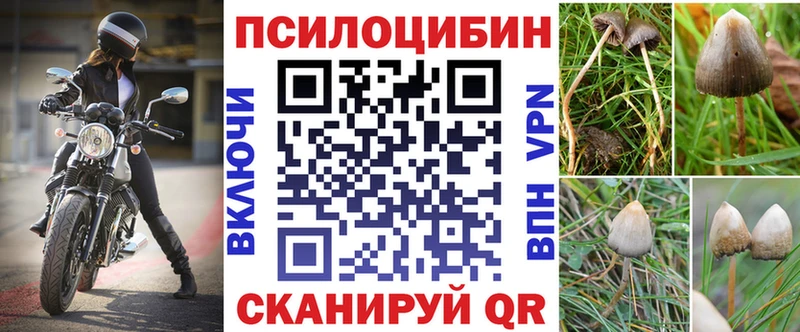 Купить закладки  Каменка  Галлюциногенные грибы MAGIC MUSHROOMS 