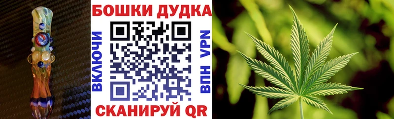 Купить где Каменка Бошки марихуана ГИДРОПОН